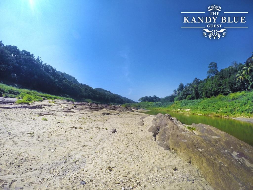 Kandy Blue Eksteriør bilde